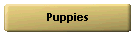 Puppies